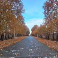 باغ ۳۴۰ متری چهاردیوار سنددار یکساله|فروش خانه و ویلا|شهریار, کرد امیر|دیوار