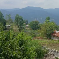 اجاره ویلا شب و روز|اجارهٔ خانه و ویلا|آلاشت, |دیوار