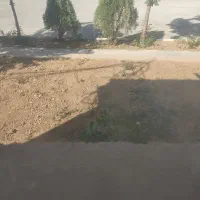 نطافت چی