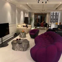 طراحی و بازسازی اقتصادی ،لوکس