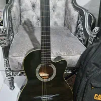 گیتار دایمند نو به همراه کیف