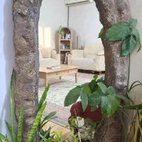 آینه صخره ای