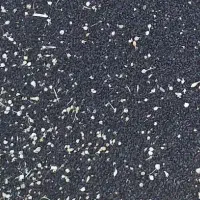 فروش بذر تره درجه ۱