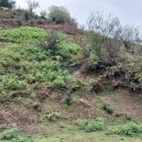 زمین ویلایی