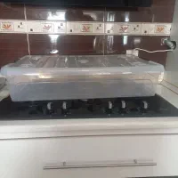 جانونیبزرگپایهدار