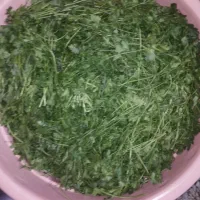 سبزی خورشی تازمحلی|خوردنی و آشامیدنی|خاش, |دیوار