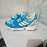 zxافسپیرینگ