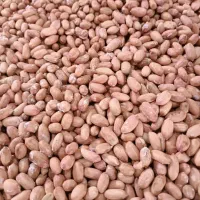بادام آستانه