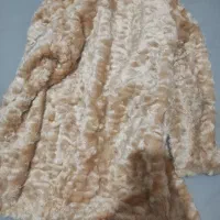 پالتو شیک|لباس|گلستان (تهران), |دیوار