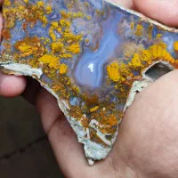 سنگ شجر پاییزی