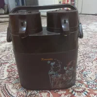 فلاکس دوقلو