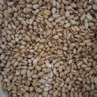 پسته خشک امسالی