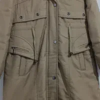 پالتو خزدار