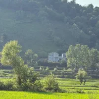 فروش زمین 710 متری