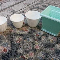 گلدان پلاستیکی|گل و گیاه طبیعی|شیراز, کرونی(خاتونک)|دیوار