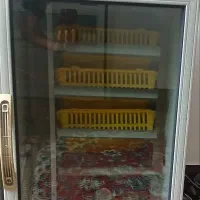 دستگاه جوجه کشی 220تایی