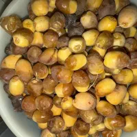 رطب برحی