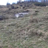 ۲۵۰ زمین/ جواهرده /ویوو ابدی