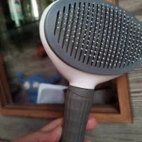 برس گربه و سگ نو