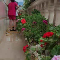 اجاره-منزل-طبقه-همکف