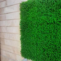 چمن مصنوعی|گل مصنوعی|کاشان, راوند|دیوار