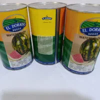 بذر هندوانه