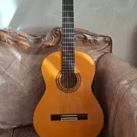 گیتار آریا ak20