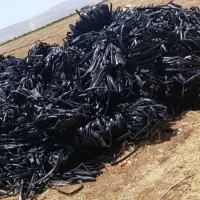 خریدار نوار تیپ|خدمات باغبانی و درختکاری|برازجان, |دیوار