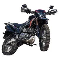 موتور تریل فلات XR250
