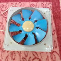فن 40در40|پنکه و تصفیه‌کنندهٔ هوا|اهواز, شریعتی جنوبی|دیوار