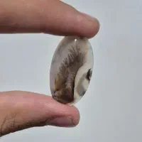 شجر قائن مناسب انگشتر و پلاک و دستبندهای کلکسیونی|جواهرات|تبریز, |دیوار