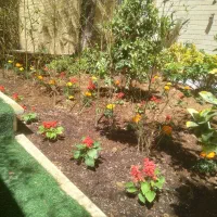 باغبانی وسمپاشی هرسکاری تعویض خاک گلدون|خدمات باغبانی و درختکاری|تهران, قیطریه|دیوار