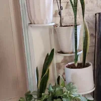 جاگلدانی و گلدان و گل