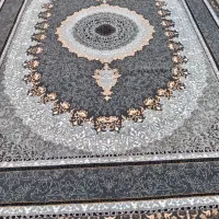 یک جفت فیلی 12متری