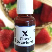 هورمون گلدهی شدید توت فرنگی|خدمات باغبانی و درختکاری|جیرفت, |دیوار