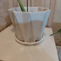 گلدان
