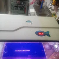 اکواریوم