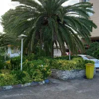 کارگر ساده در گاوداری