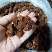 فروش آلو وبرگ زردآلو