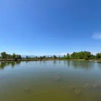 پکج کامل با ۶ سند تک برگ