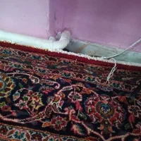 فرش دستباف سیزده متری|فرش|ورامین, ورامین|دیوار