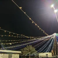 نور پردازی نخل|ریسه و چراغ تزئینی|بندرعباس, |دیوار