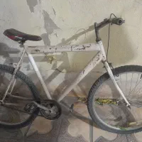 دوچرخه ۲۶|دوچرخه، اسکیت، اسکوتر|شیراز, لب آب|دیوار