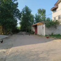 فروش اقساطی وچکی زمین مسکونی ۲۴۰متری سندار|فروش زمین و ملک کلنگی|شلمان, |دیوار
