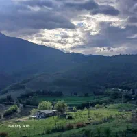 زمین-باغی-در-توتکابن-قابل-معاوضه