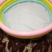 استخر بادی