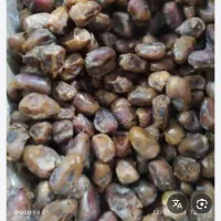 فروش چندتن خرما کروت