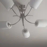 اوستر پنج شاخه ، ایکیا