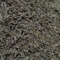 زیره|خوردنی و آشامیدنی|هلالی, |دیوار