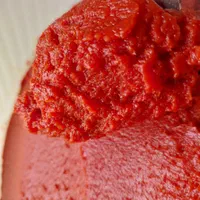 رب گوجه خانگی عالی و خوشمزه با گوجه های ارگانیک|خوردنی و آشامیدنی|تهران, خانی آباد نو جنوبی|دیوار
